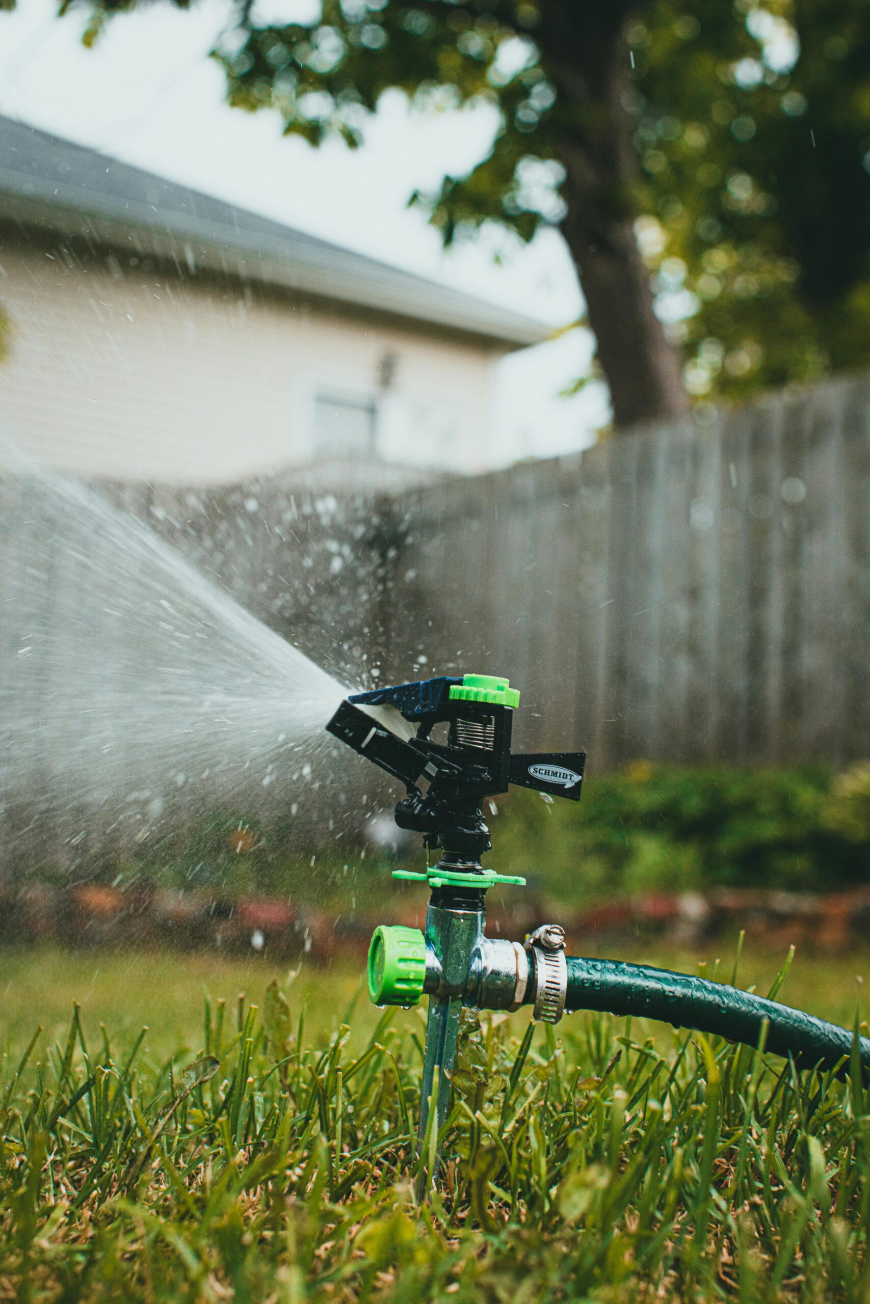 A rotating garden sprinkler irrigating a backyard lawn with a fence and house in the background.