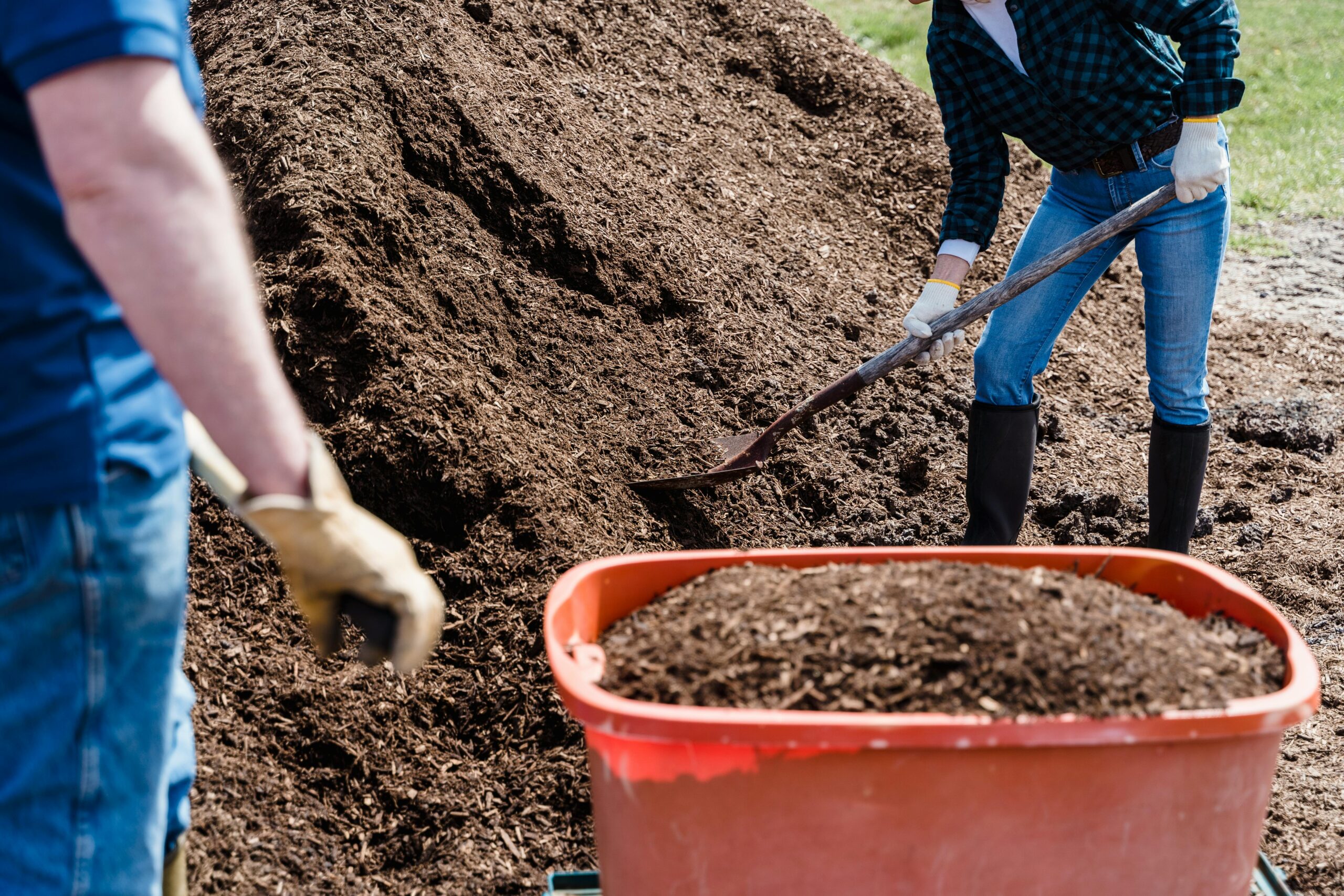 Two people working in a garden shoveling soil into a wheelbarrow on a sunny day.